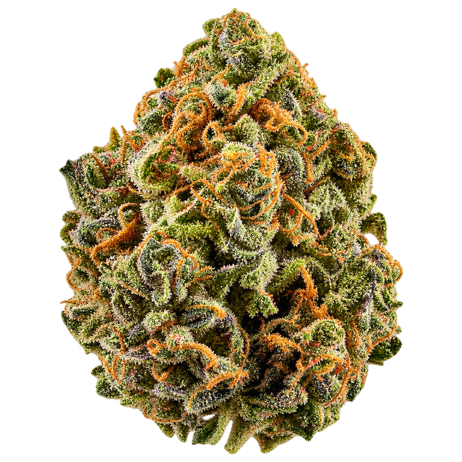 Flores - Hydro - Candy Paint