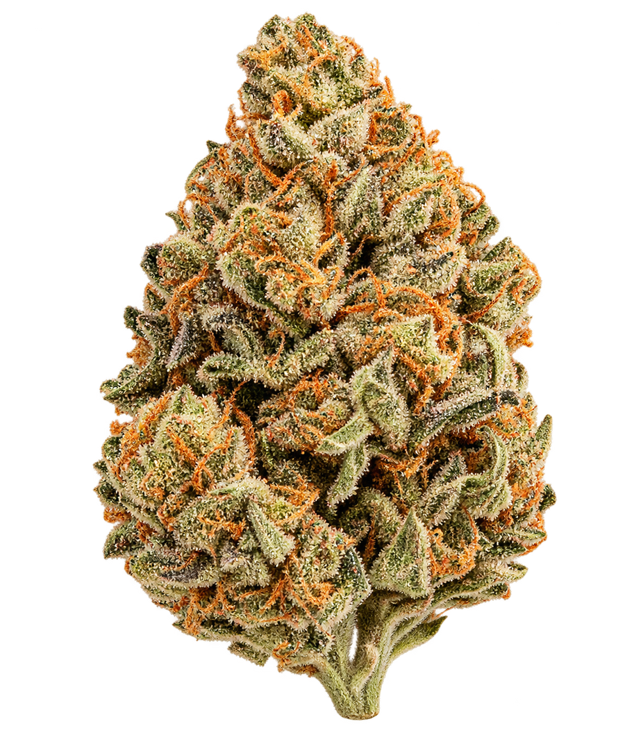 Flores - Hydro - White Runtz