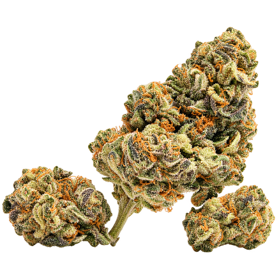 Flores - Hydro - Bolo Runtz