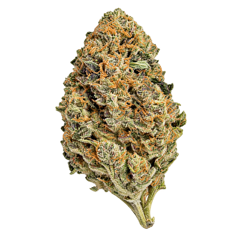 Flores - Hydro - Berry Runtz