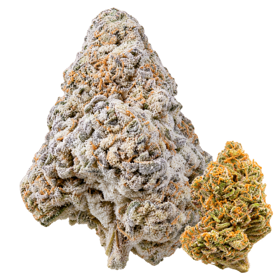 Flores - Snowcap Hydro - Illemonati